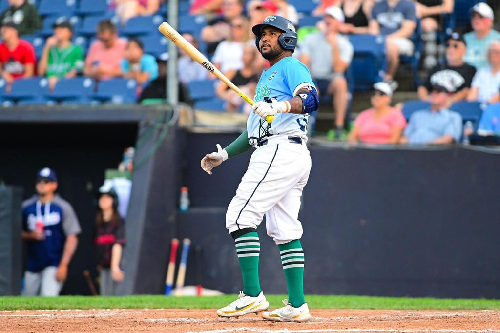 Maple vs Birch Baseball Bats: Which One Is Best?